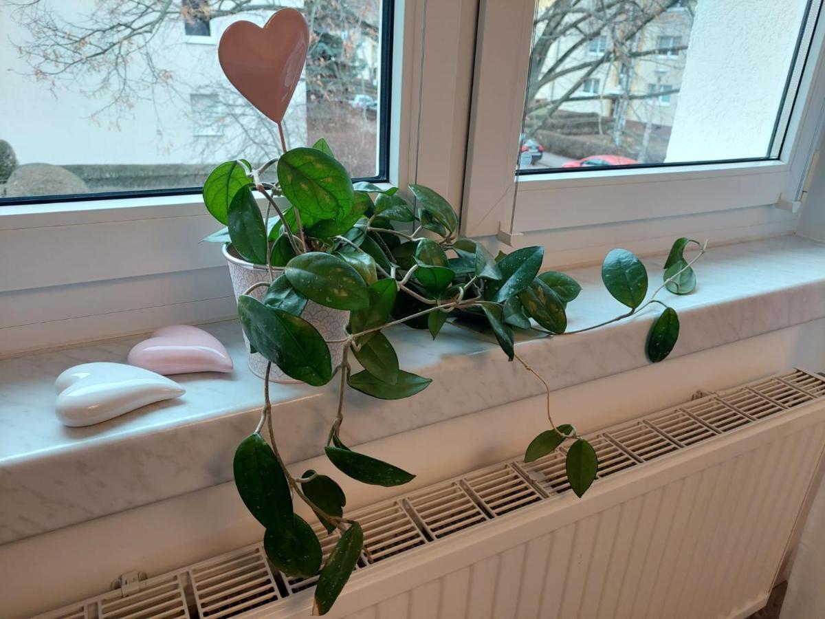 Helles Modern Eingerichtetes Apartment Halle  Екстер'єр фото